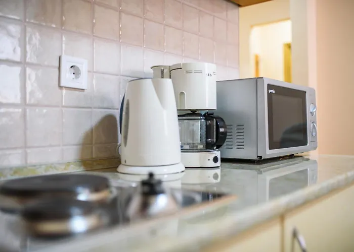 Διαμέρισμα Curic *